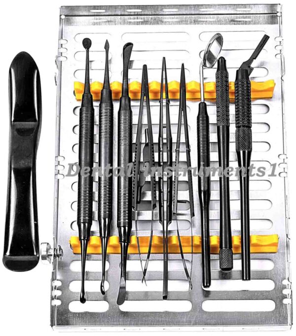 Dental Micro Oral Surgery Instruments Kit Black 11 PCs High Quality