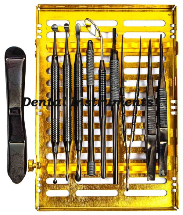 Micro Periodontal Oral Surgery Kit Dental Instruments Surgical