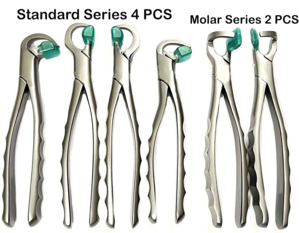 Dental Extraction Forceps Set of 4 Pcs Standard Series Kit + Molar Series 2 PCS