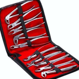 Dental Extracting Forceps Kit10 Pcs